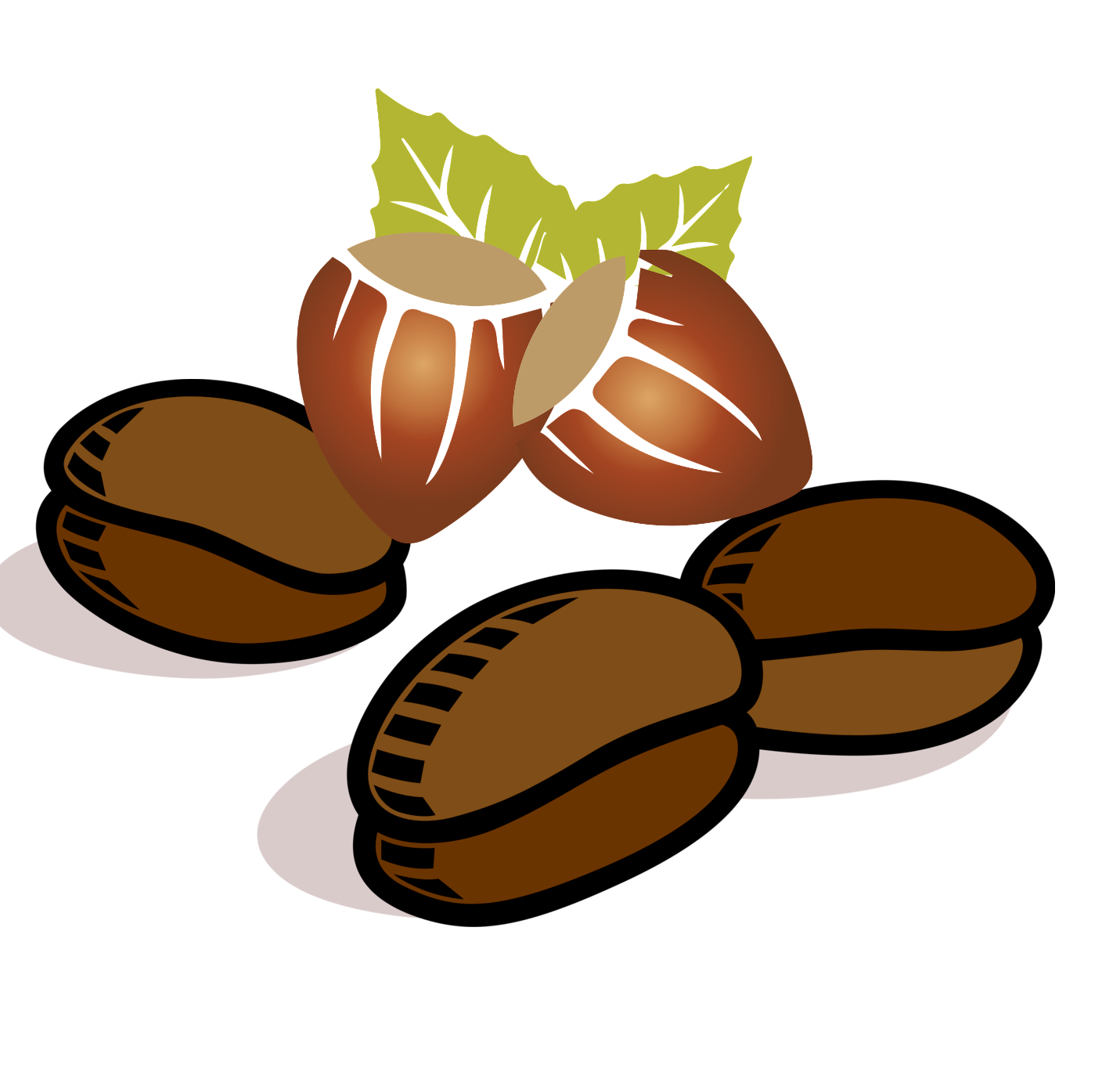 3 שקיות של 250 גרם קפה ביאלטי טחון למקינטה בטעם אגוז לוז - Bialetti Perfetto Moka Nocciola