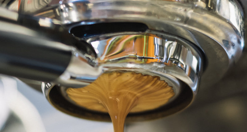 מיצוי הקפה - Coffee Extraction