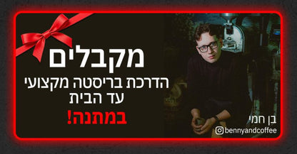 גאגיה קלאסיק Gaggia Classic GT