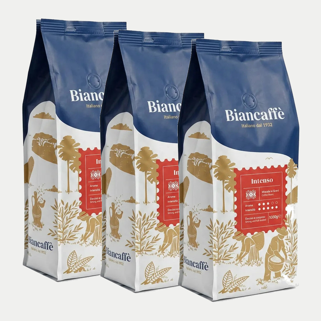 3 ק"ג פולי קפה ביאנקפה אינטנסו Biancaffe Intenso