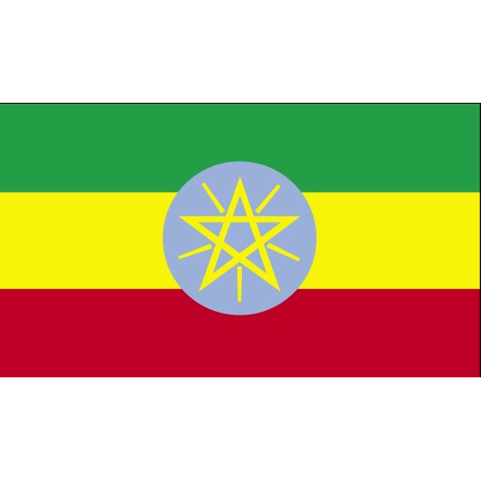 200 גרם פולי קפה אתיופיה WASHED SIDAMO Alata Wondo