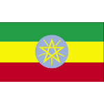 1 ק&quot;ג קפה ירוק אתיופיה סידמו שטוף - Ethiopia Washed